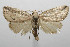  ( - 08-SRNP-105357)  @14 [ ] CreativeCommons - Attribution Non-Commercial Share-Alike (2013) Daniel H. Janzen Guanacaste Dry Forest Conservation Fund
