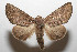  ( - 08-SRNP-105463)  @14 [ ] CreativeCommons - Attribution Non-Commercial Share-Alike (2013) Daniel H. Janzen Guanacaste Dry Forest Conservation Fund