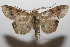  ( - 08-SRNP-105556)  @13 [ ] CreativeCommons - Attribution Non-Commercial Share-Alike (2013) Daniel H. Janzen Guanacaste Dry Forest Conservation Fund