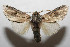  ( - 08-SRNP-105652)  @13 [ ] CreativeCommons - Attribution Non-Commercial Share-Alike (2013) Daniel H. Janzen Guanacaste Dry Forest Conservation Fund