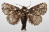  ( - 08-SRNP-105694)  @11 [ ] CreativeCommons - Attribution Non-Commercial Share-Alike (2013) Daniel H. Janzen Guanacaste Dry Forest Conservation Fund