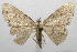  ( - 08-SRNP-105935)  @13 [ ] CreativeCommons - Attribution Non-Commercial Share-Alike (2013) Daniel H. Janzen Guanacaste Dry Forest Conservation Fund