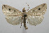  ( - 08-SRNP-106161)  @14 [ ] CreativeCommons - Attribution Non-Commercial Share-Alike (2013) Daniel H. Janzen Guanacaste Dry Forest Conservation Fund