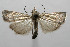  ( - 08-SRNP-106197)  @14 [ ] CreativeCommons - Attribution Non-Commercial Share-Alike (2013) Daniel H. Janzen Guanacaste Dry Forest Conservation Fund