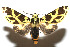  ( - 08-SRNP-106718)  @14 [ ] CreativeCommons - Attribution Non-Commercial Share-Alike (2013) Daniel H. Janzen Guanacaste Dry Forest Conservation Fund