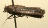  ( - 09-SRNP-102078)  @12 [ ] CreativeCommons - Attribution Non-Commercial Share-Alike (2009) Unspecified Guanacaste Dry Forest Conservation Fund