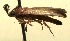  (blastoBioLep01 BioLep179 - 09-SRNP-106700)  @12 [ ] CreativeCommons - Attribution Non-Commercial Share-Alike (2009) Unspecified Guanacaste Dry Forest Conservation Fund