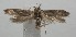  ( - 17-SRNP-107334)  @11 [ ] CreativeCommons  Attribution Non-Commercial Share-Alike (2019) Daniel H. Janzen Guanacaste Dry Forest Conservation Fund