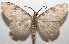  ( - 17-SRNP-107491)  @11 [ ] CreativeCommons  Attribution Non-Commercial Share-Alike (2019) Daniel H. Janzen Guanacaste Dry Forest Conservation Fund