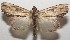  ( - 17-SRNP-107652)  @15 [ ] CreativeCommons  Attribution Non-Commercial Share-Alike (2019) Daniel H. Janzen Guanacaste Dry Forest Conservation Fund