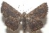  ( - 17-SRNP-107671)  @13 [ ] CreativeCommons  Attribution Non-Commercial Share-Alike (2019) Daniel H. Janzen Guanacaste Dry Forest Conservation Fund