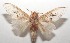  ( - 17-SRNP-107750)  @13 [ ] CreativeCommons  Attribution Non-Commercial Share-Alike (2019) Daniel H. Janzen Guanacaste Dry Forest Conservation Fund