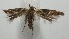  ( - 17-SRNP-107993)  @11 [ ] CreativeCommons  Attribution Non-Commercial Share-Alike (2019) Daniel H. Janzen Guanacaste Dry Forest Conservation Fund