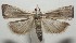  ( - 17-SRNP-108006)  @11 [ ] CreativeCommons  Attribution Non-Commercial Share-Alike (2019) Daniel H. Janzen Guanacaste Dry Forest Conservation Fund
