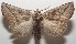  ( - 17-SRNP-108077)  @14 [ ] CreativeCommons  Attribution Non-Commercial Share-Alike (2019) Daniel H. Janzen Guanacaste Dry Forest Conservation Fund