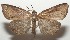  ( - 17-SRNP-108090)  @11 [ ] CreativeCommons  Attribution Non-Commercial Share-Alike (2019) Daniel H. Janzen Guanacaste Dry Forest Conservation Fund