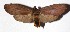  ( - 17-SRNP-1536)  @14 [ ] CreativeCommons  Attribution Non-Commercial Share-Alike (2019) Daniel H. Janzen Guanacaste Dry Forest Conservation Fund