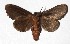  ( - 17-SRNP-35403)  @11 [ ] CreativeCommons  Attribution Non-Commercial Share-Alike (2019) Daniel H. Janzen Guanacaste Dry Forest Conservation Fund