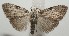  ( - 18-SRNP-100080)  @13 [ ] CreativeCommons  Attribution Non-Commercial Share-Alike (2019) Daniel H. Janzen Guanacaste Dry Forest Conservation Fund