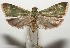 ( - 18-SRNP-100154)  @11 [ ] CreativeCommons  Attribution Non-Commercial Share-Alike (2019) Daniel H. Janzen Guanacaste Dry Forest Conservation Fund