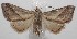  ( - 18-SRNP-100525)  @11 [ ] CreativeCommons  Attribution Non-Commercial Share-Alike (2019) Daniel H. Janzen Guanacaste Dry Forest Conservation Fund
