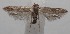  ( - 18-SRNP-100534)  @11 [ ] CreativeCommons  Attribution Non-Commercial Share-Alike (2019) Daniel H. Janzen Guanacaste Dry Forest Conservation Fund