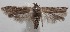  ( - 18-SRNP-100542)  @11 [ ] CreativeCommons  Attribution Non-Commercial Share-Alike (2019) Daniel H. Janzen Guanacaste Dry Forest Conservation Fund