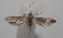  ( - 18-SRNP-100675)  @11 [ ] CreativeCommons  Attribution Non-Commercial Share-Alike (2019) Daniel H. Janzen Guanacaste Dry Forest Conservation Fund