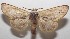  ( - 18-SRNP-100756)  @14 [ ] CreativeCommons  Attribution Non-Commercial Share-Alike (2019) Daniel H. Janzen Guanacaste Dry Forest Conservation Fund