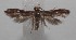  ( - 18-SRNP-100823)  @11 [ ] CreativeCommons  Attribution Non-Commercial Share-Alike (2019) Daniel H. Janzen Guanacaste Dry Forest Conservation Fund