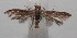  ( - 18-SRNP-100824)  @11 [ ] CreativeCommons  Attribution Non-Commercial Share-Alike (2019) Daniel H. Janzen Guanacaste Dry Forest Conservation Fund