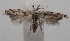  ( - 18-SRNP-100829)  @11 [ ] CreativeCommons  Attribution Non-Commercial Share-Alike (2019) Daniel H. Janzen Guanacaste Dry Forest Conservation Fund