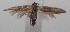  ( - 18-SRNP-100867)  @11 [ ] CreativeCommons  Attribution Non-Commercial Share-Alike (2019) Daniel H. Janzen Guanacaste Dry Forest Conservation Fund