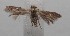  ( - 18-SRNP-100870)  @11 [ ] CreativeCommons  Attribution Non-Commercial Share-Alike (2019) Daniel H. Janzen Guanacaste Dry Forest Conservation Fund