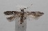  ( - 18-SRNP-100879)  @11 [ ] CreativeCommons  Attribution Non-Commercial Share-Alike (2019) Daniel H. Janzen Guanacaste Dry Forest Conservation Fund