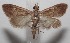 ( - 18-SRNP-100983)  @12 [ ] CreativeCommons  Attribution Non-Commercial Share-Alike (2019) Daniel H. Janzen Guanacaste Dry Forest Conservation Fund