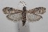  ( - 18-SRNP-101003)  @14 [ ] CreativeCommons  Attribution Non-Commercial Share-Alike (2019) Daniel H. Janzen Guanacaste Dry Forest Conservation Fund