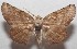  ( - 18-SRNP-101054)  @11 [ ] CreativeCommons  Attribution Non-Commercial Share-Alike (2019) Daniel H. Janzen Guanacaste Dry Forest Conservation Fund