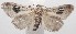  ( - 18-SRNP-101250)  @11 [ ] CreativeCommons  Attribution Non-Commercial Share-Alike (2019) Daniel H. Janzen Guanacaste Dry Forest Conservation Fund