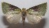  ( - 18-SRNP-101297)  @14 [ ] CreativeCommons  Attribution Non-Commercial Share-Alike (2019) Daniel H. Janzen Guanacaste Dry Forest Conservation Fund