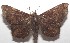  ( - 18-SRNP-101334)  @14 [ ] CreativeCommons  Attribution Non-Commercial Share-Alike (2019) Daniel H. Janzen Guanacaste Dry Forest Conservation Fund