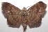  ( - 18-SRNP-101342)  @13 [ ] CreativeCommons  Attribution Non-Commercial Share-Alike (2019) Daniel H. Janzen Guanacaste Dry Forest Conservation Fund
