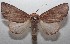  ( - 18-SRNP-101377)  @11 [ ] CreativeCommons  Attribution Non-Commercial Share-Alike (2019) Daniel H. Janzen Guanacaste Dry Forest Conservation Fund