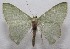  ( - 18-SRNP-101394)  @11 [ ] CreativeCommons  Attribution Non-Commercial Share-Alike (2019) Daniel H. Janzen Guanacaste Dry Forest Conservation Fund