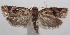  ( - 18-SRNP-101801)  @13 [ ] CreativeCommons  Attribution Non-Commercial Share-Alike (2019) Daniel H. Janzen Guanacaste Dry Forest Conservation Fund