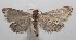  ( - 18-SRNP-101815)  @11 [ ] CreativeCommons  Attribution Non-Commercial Share-Alike (2019) Daniel H. Janzen Guanacaste Dry Forest Conservation Fund