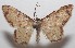  ( - 18-SRNP-101987)  @11 [ ] CreativeCommons  Attribution Non-Commercial Share-Alike (2019) Daniel H. Janzen Guanacaste Dry Forest Conservation Fund