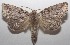  ( - 18-SRNP-102073)  @15 [ ] CreativeCommons  Attribution Non-Commercial Share-Alike (2019) Daniel H. Janzen Guanacaste Dry Forest Conservation Fund