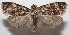  ( - 18-SRNP-102099)  @11 [ ] CreativeCommons  Attribution Non-Commercial Share-Alike (2019) Daniel H. Janzen Guanacaste Dry Forest Conservation Fund