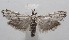  ( - 18-SRNP-102139)  @11 [ ] CreativeCommons  Attribution Non-Commercial Share-Alike (2019) Daniel H. Janzen Guanacaste Dry Forest Conservation Fund